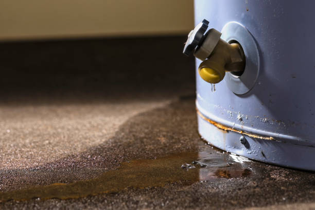 Best Water damage restoration near me  in Cao, ND