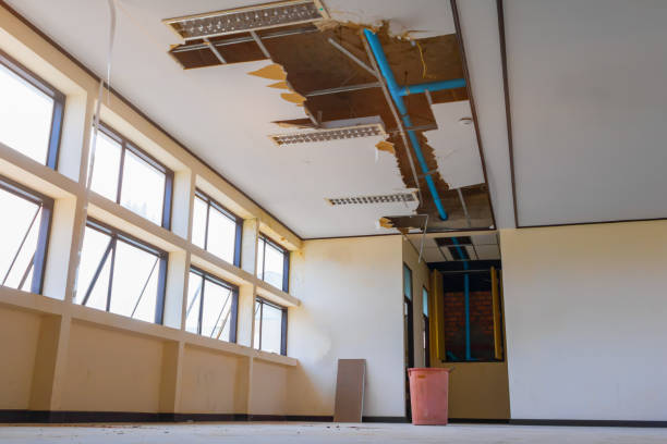Best Fire Damage Restoration  in Cao, ND