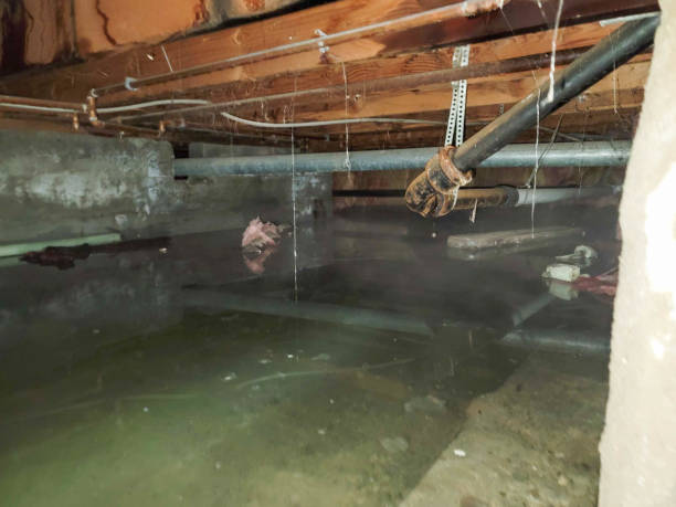 Best Commercial water damage restoration  in Cao, ND