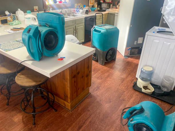 Best Emergency water damage restoration  in Cao, ND