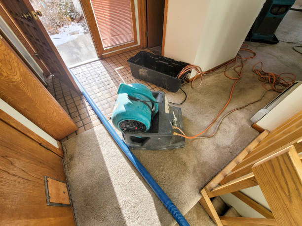 Best Water damage repair service  in Cao, ND