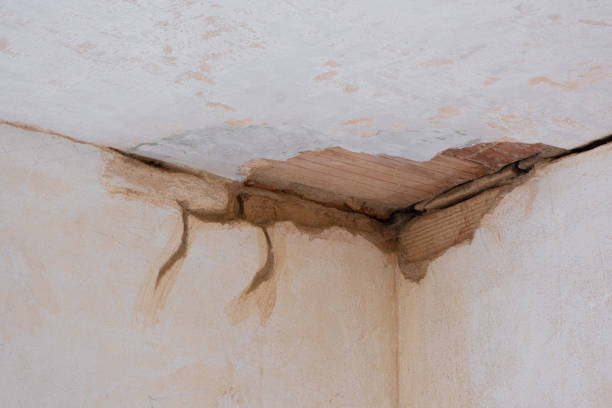 Best Ceiling water damage repair  in Cao, ND
