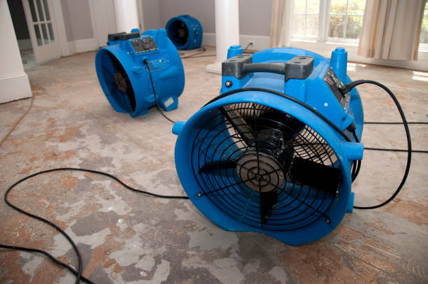 Best Carpet water damage restoration  in Cao, ND