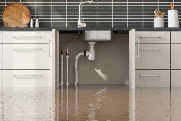 Best Flooded house restoration  in Cao, ND