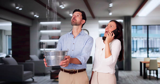 Best Carpet water damage restoration  in Cao, ND